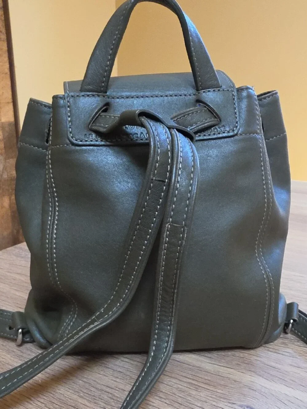 Longchamp Small Leather Backpack in Olive Green